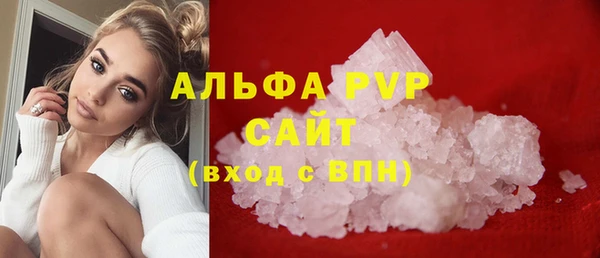 ECSTASY Магас