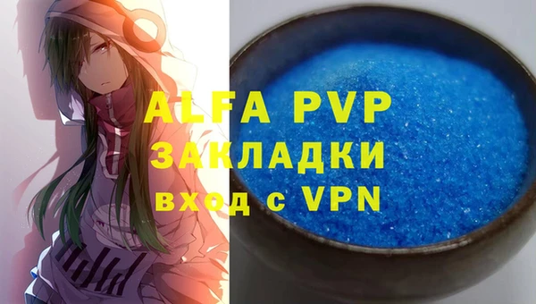 ECSTASY Магас