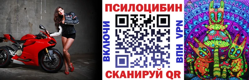 наркотики  Туран  Галлюциногенные грибы мицелий 